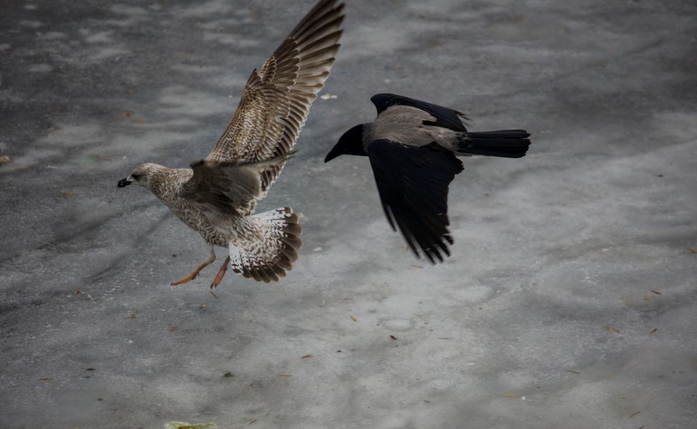 Photograph by Yana Egorova