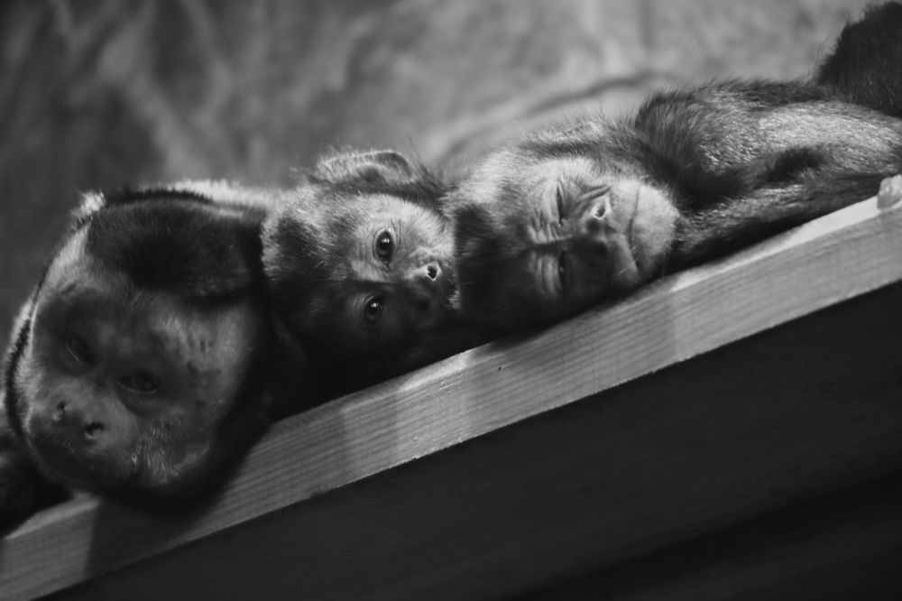 Photograph by Yana Egorova