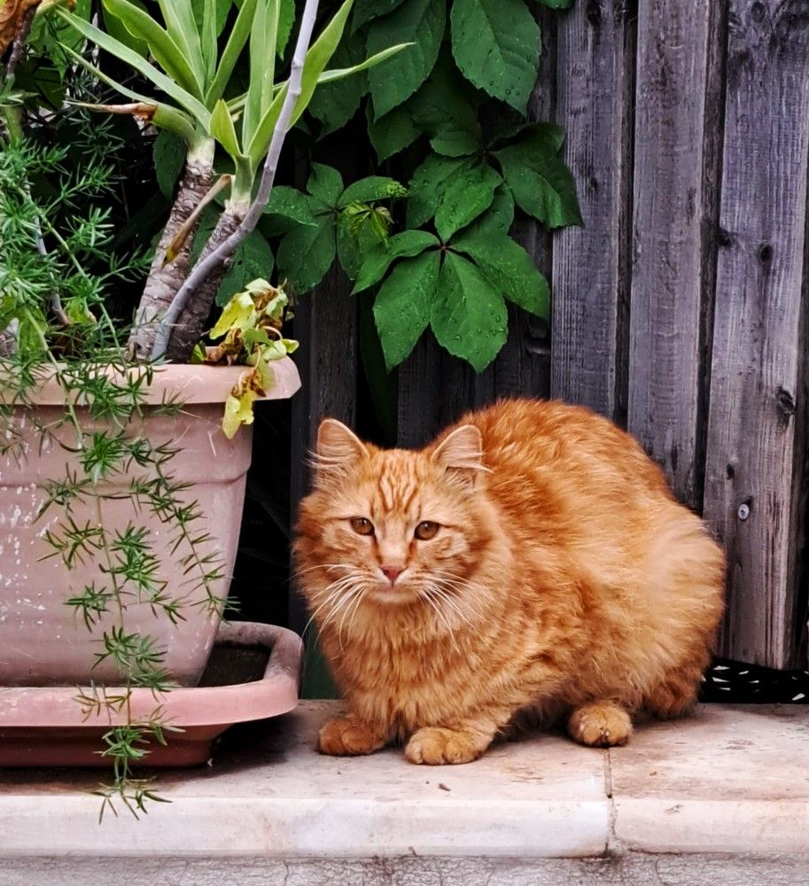 Photograph by Ramzi Nari