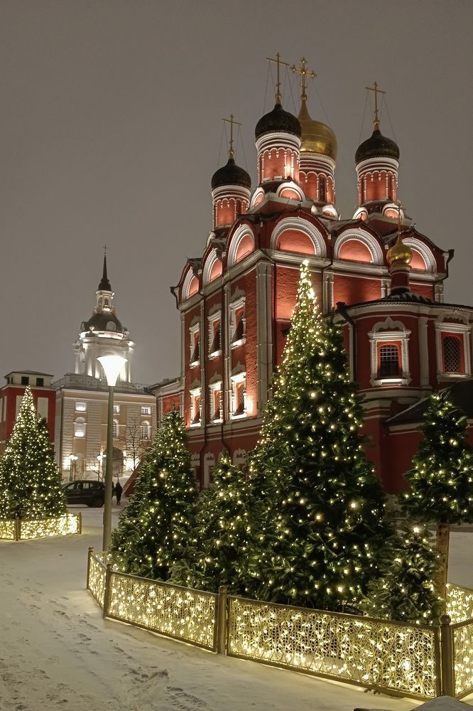 Фотография автора Larisa Meshkova