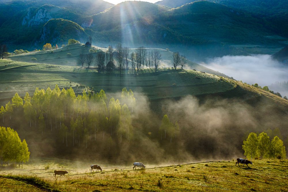 Photograph by levi bagy