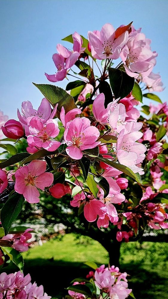 Photograph by Елена Воронова