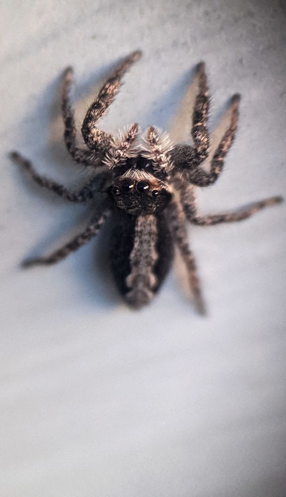 Photograph by Lathanuel Filliol