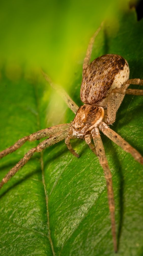 Photograph by Lathanuel Filliol