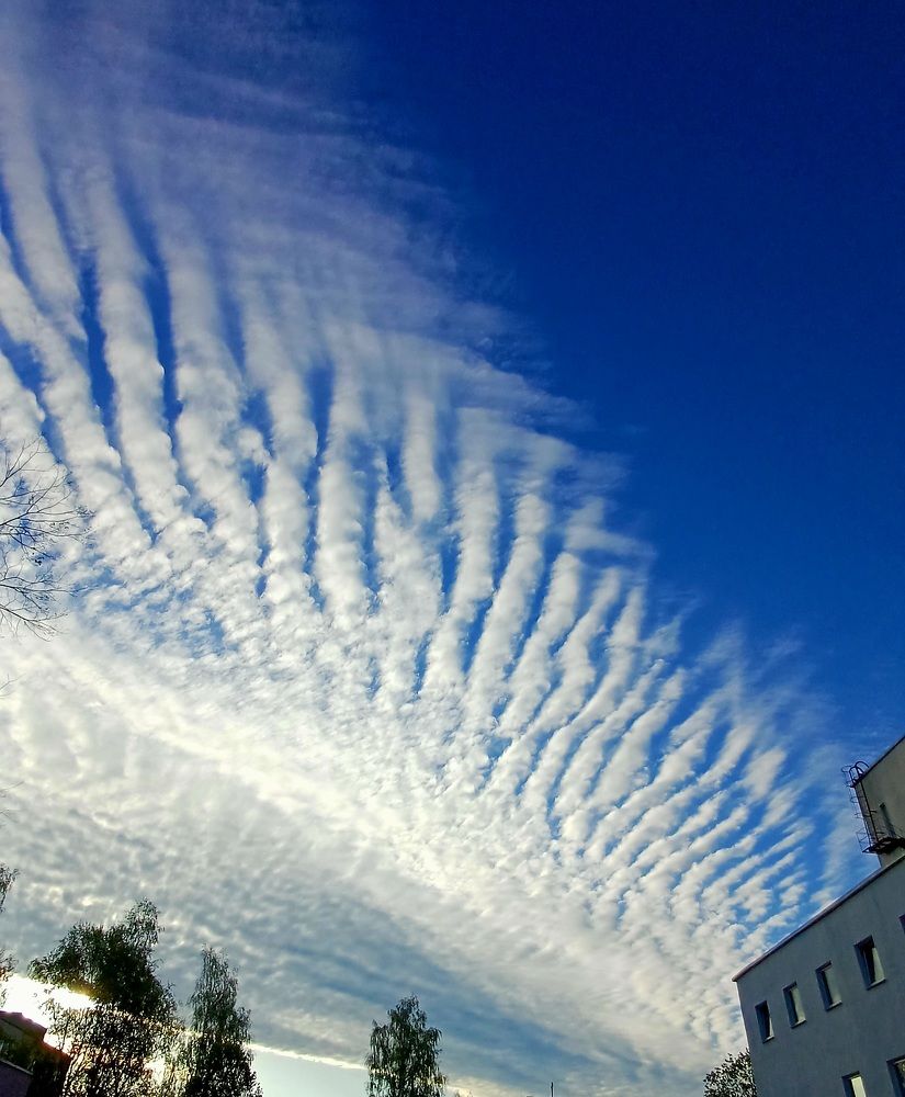 Photograph by Елена Воронова