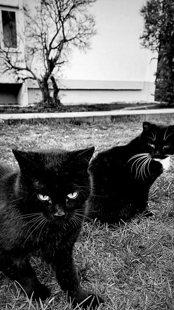 Photograph by Елена Воронова