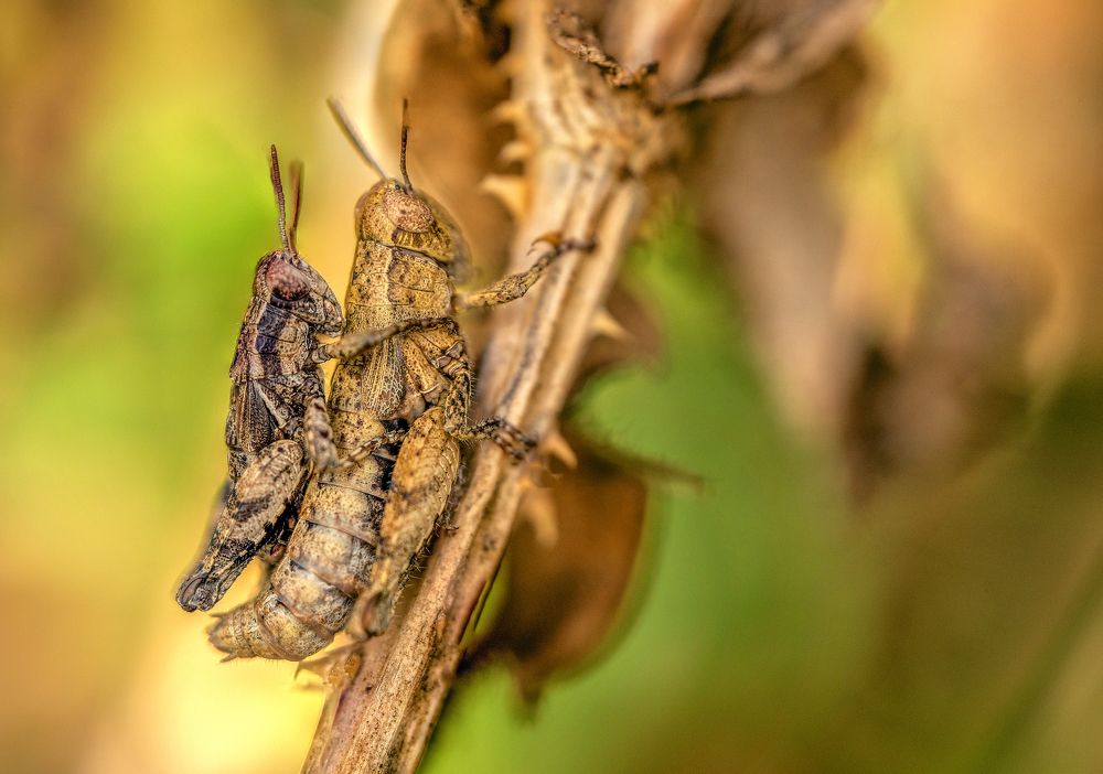 Photograph by Dragan Cerovic