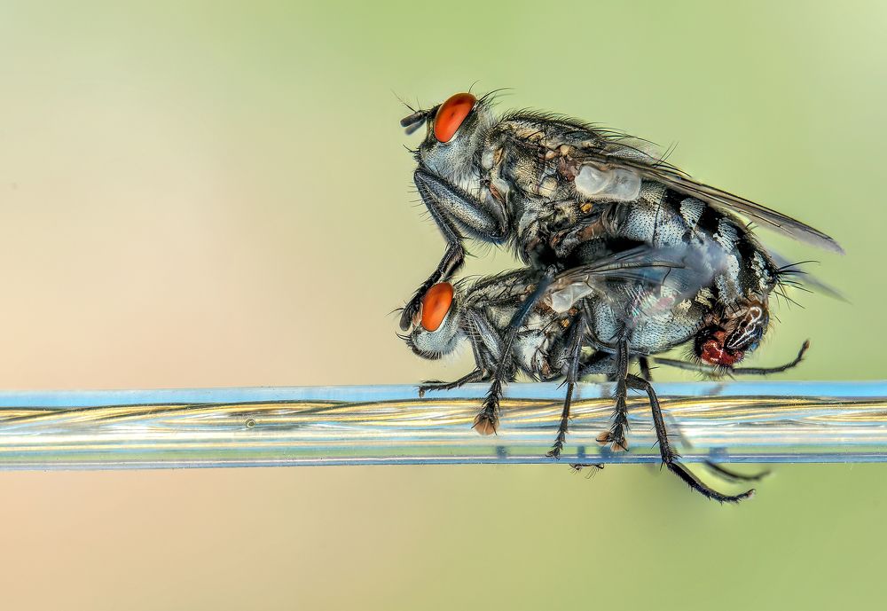 Photograph by Dragan Cerovic