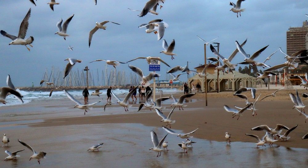 Photograph by Ирина