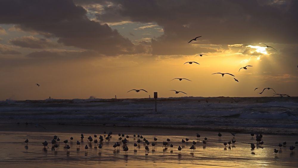 A storm is coming...