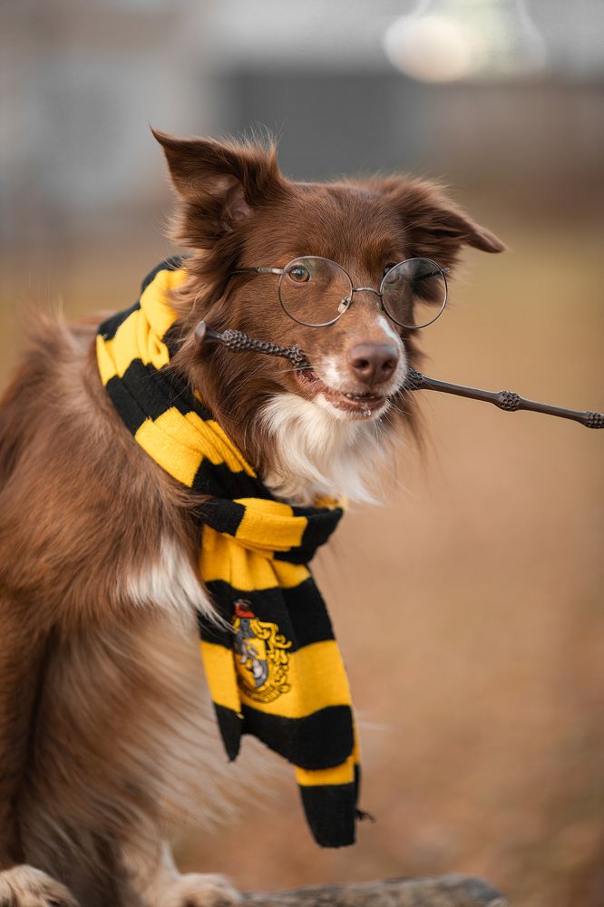 Photograph by Koxrise