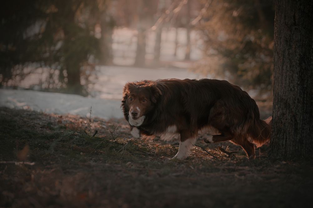 Photograph by Koxrise