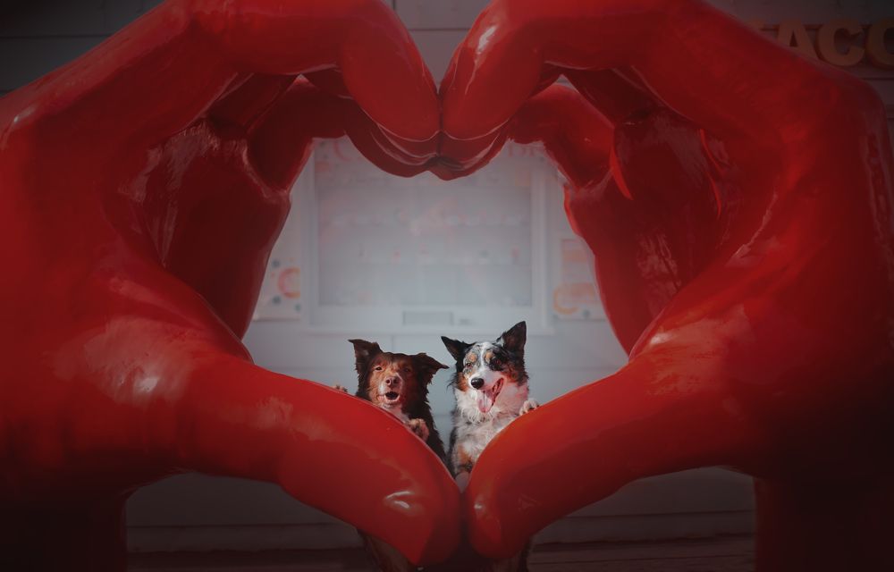 Photograph by Infused
