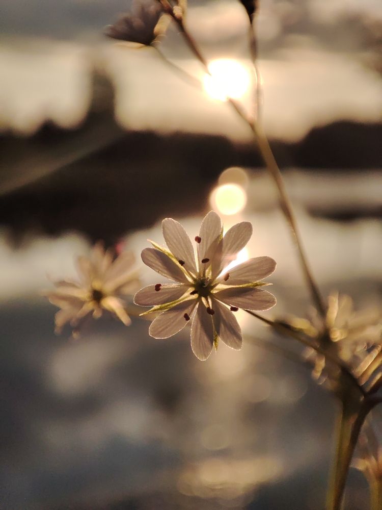 Photograph by Яна Левченко