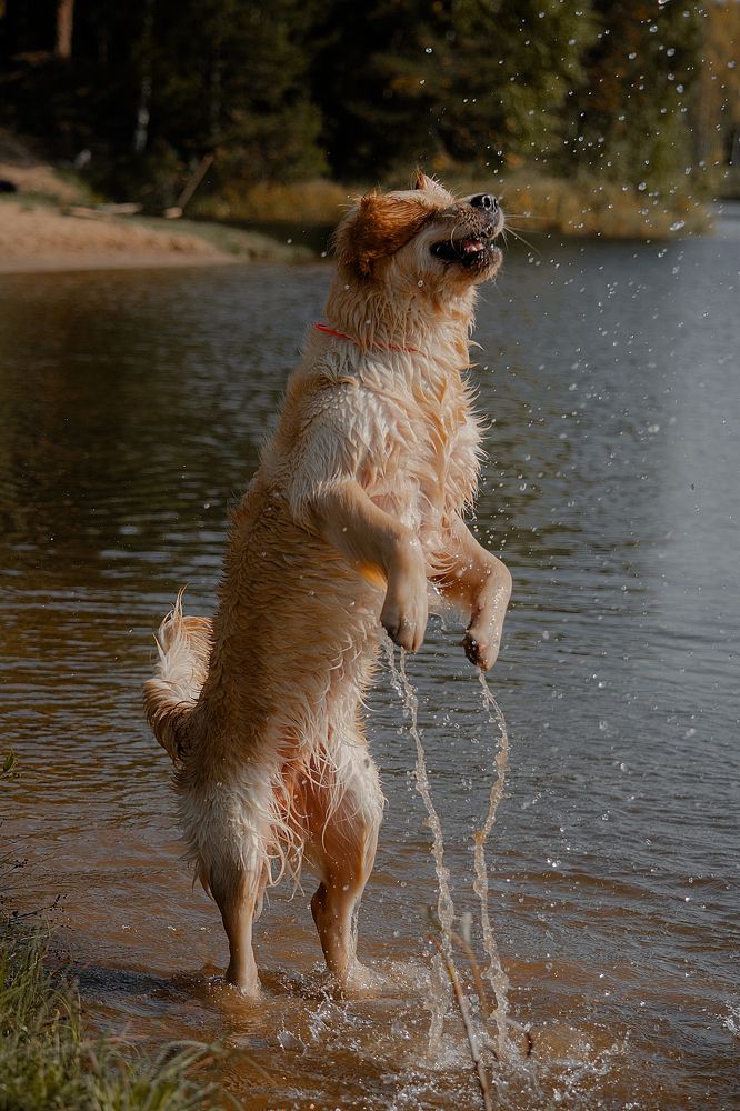 Photograph by Koxrise