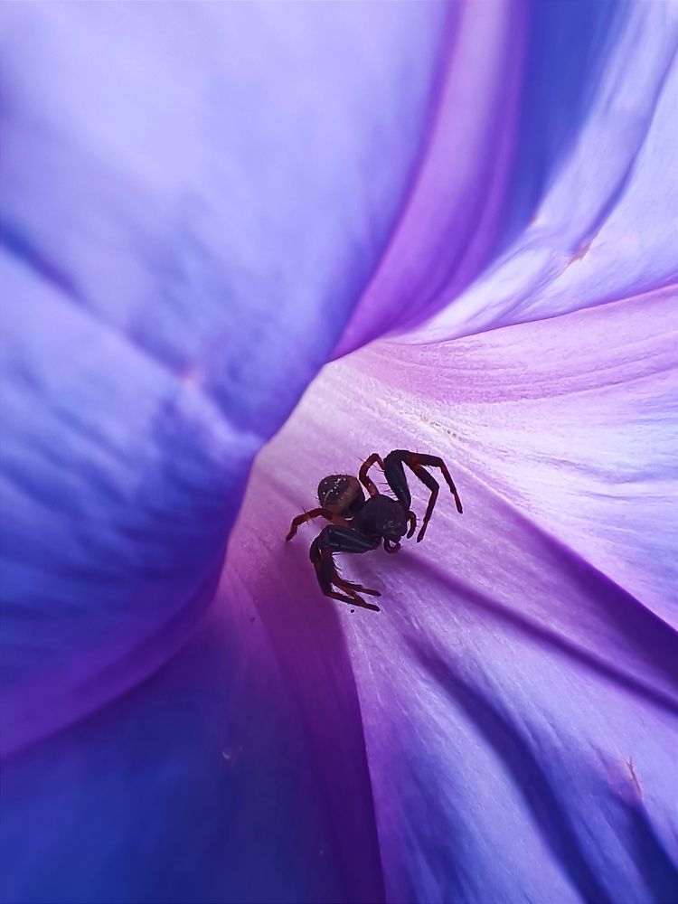 Photograph by Татьяна Шевелева