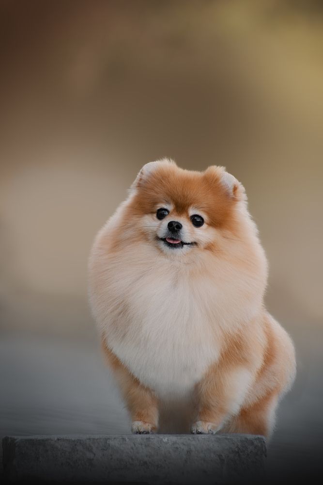 Photograph by Екатерина Котик