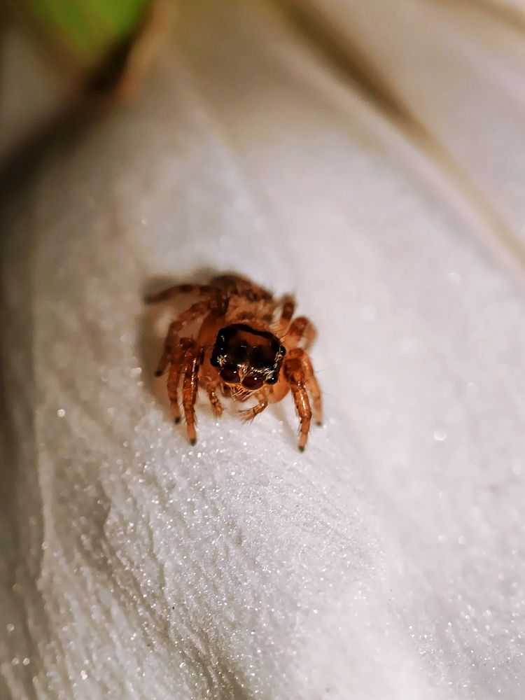 Photograph by Татьяна Шевелева