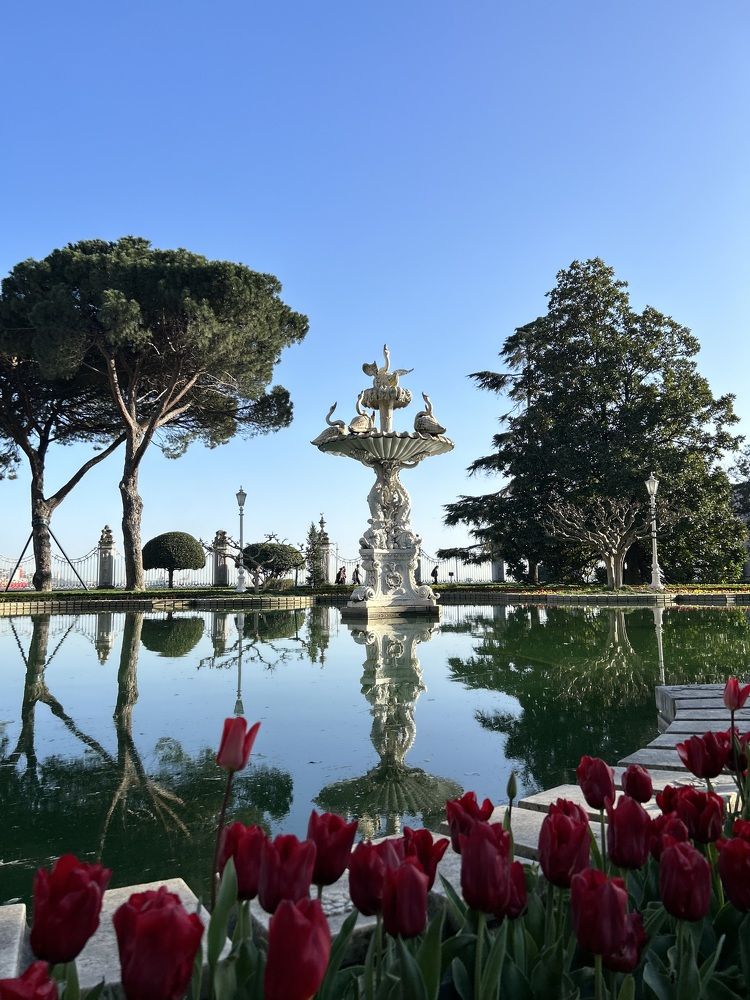 Фотография автора Gulsima