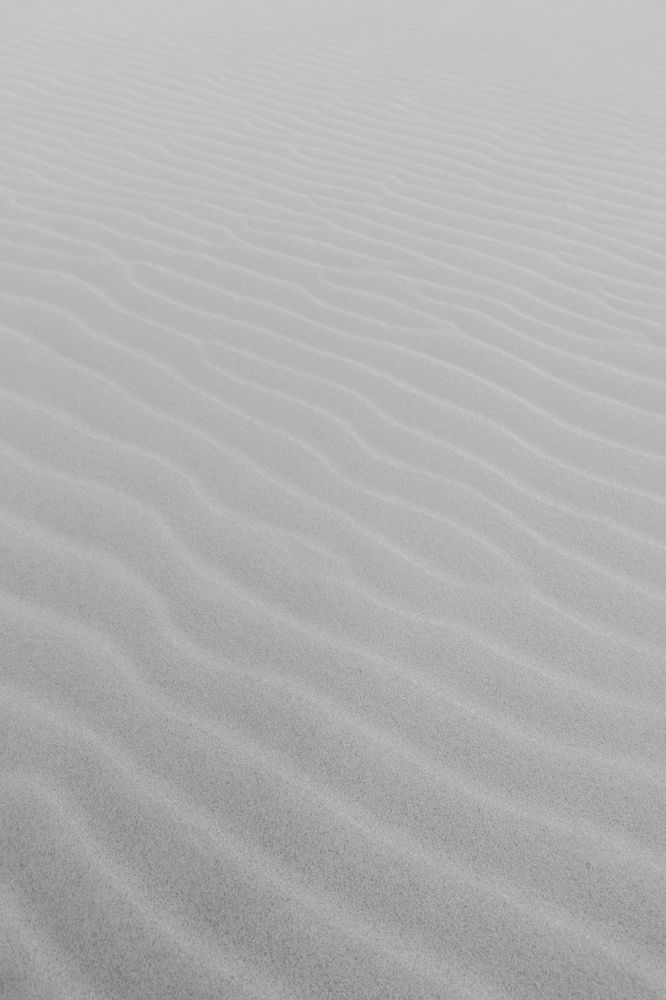 Photograph by Ikumi Taniguchi