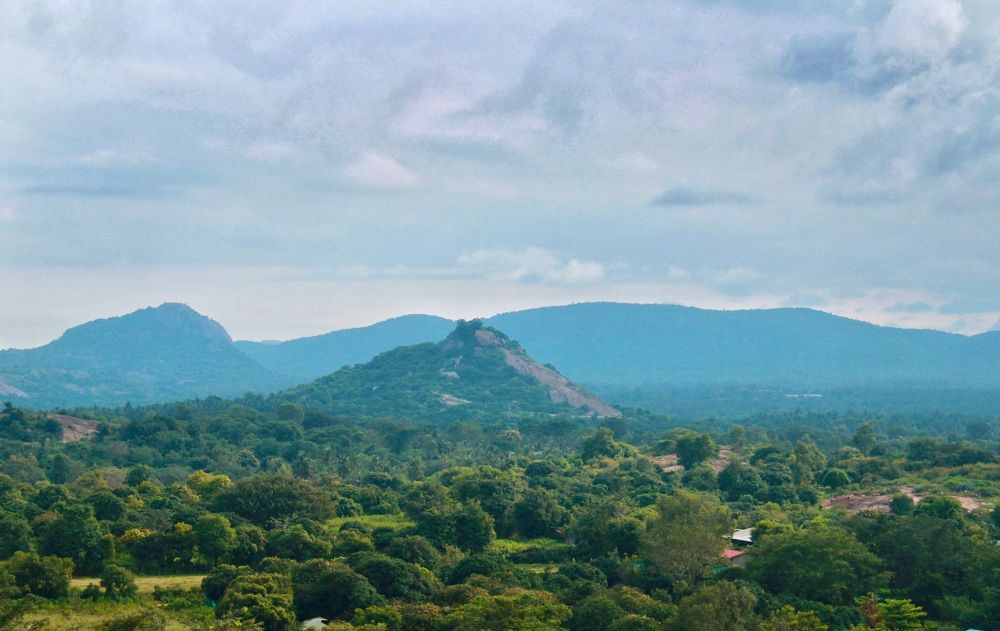 Photograph by Karthikeyan Ojash Senthil Kumaran