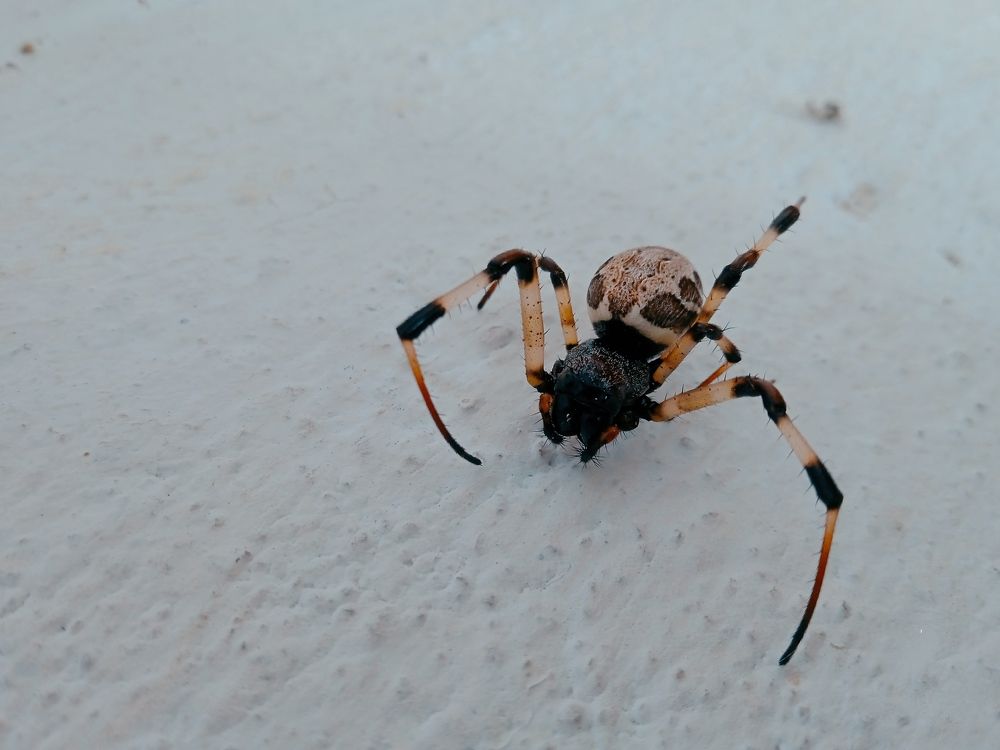 Photograph by Pawan Guruge