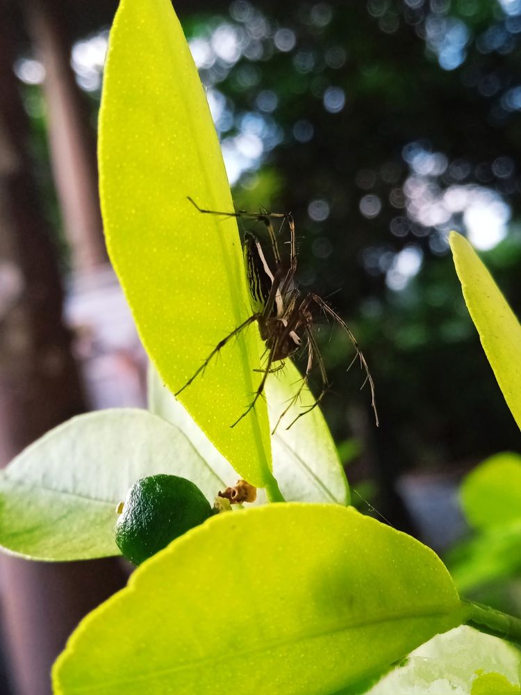 Photograph by Pawan Guruge