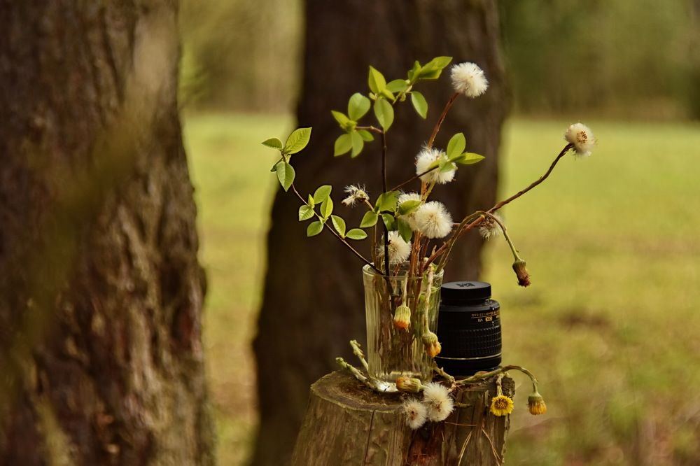 Photograph by Роман Пацкевич