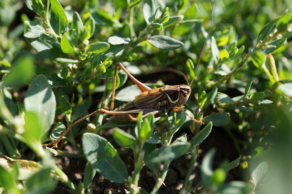 Photograph by Надежда Яковлева
