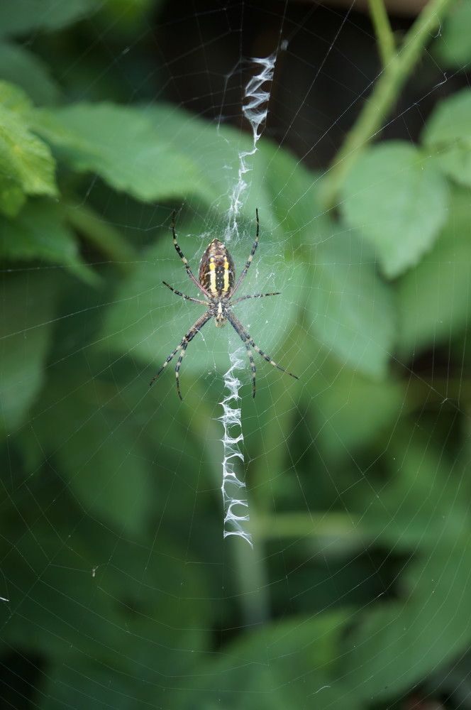 Photograph by Надежда Яковлева