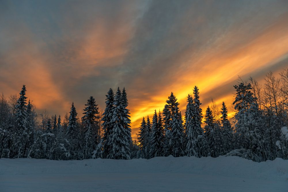 Photograph by Толяныч