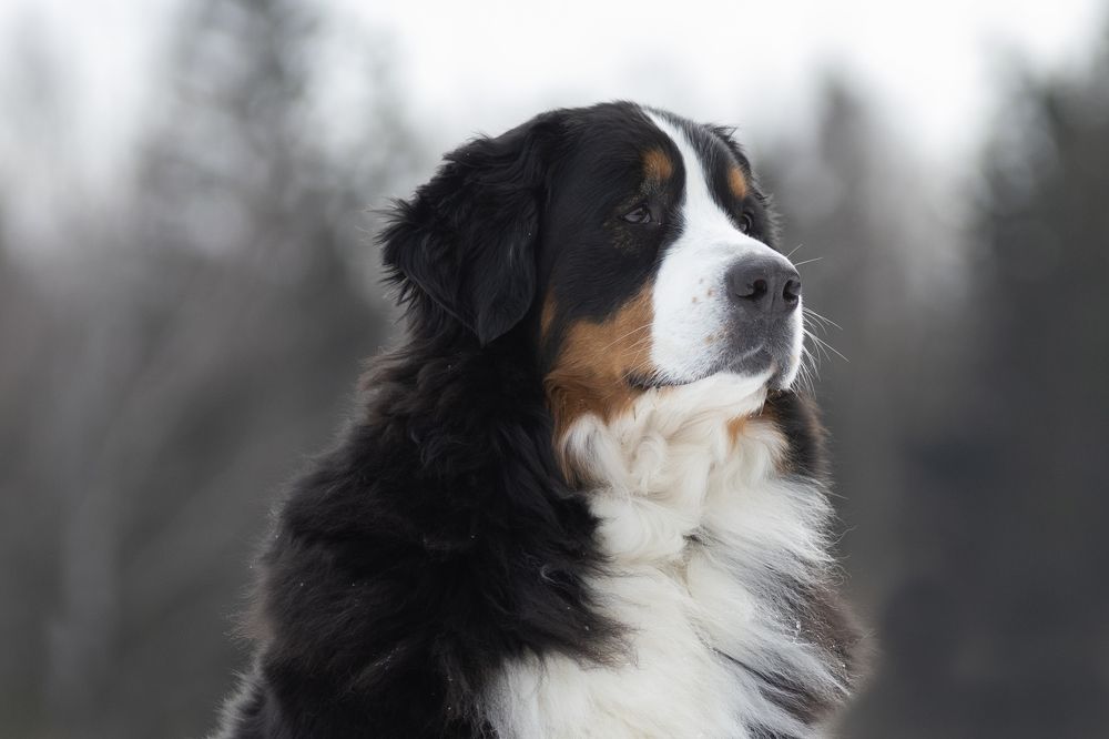 Photograph by Olga Varlamova