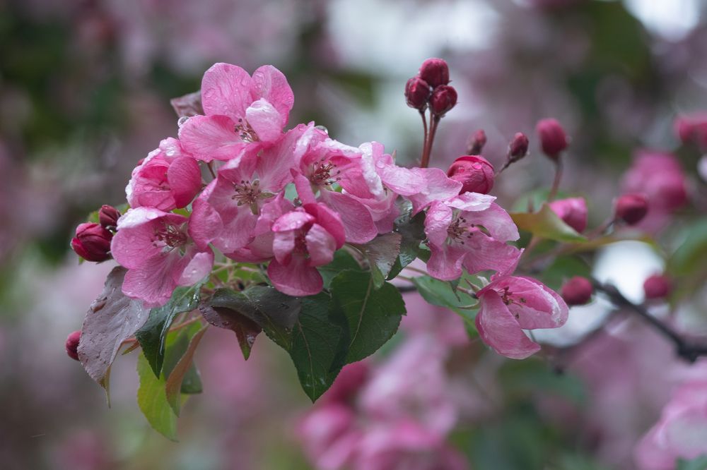 Photograph by Роман Шаров