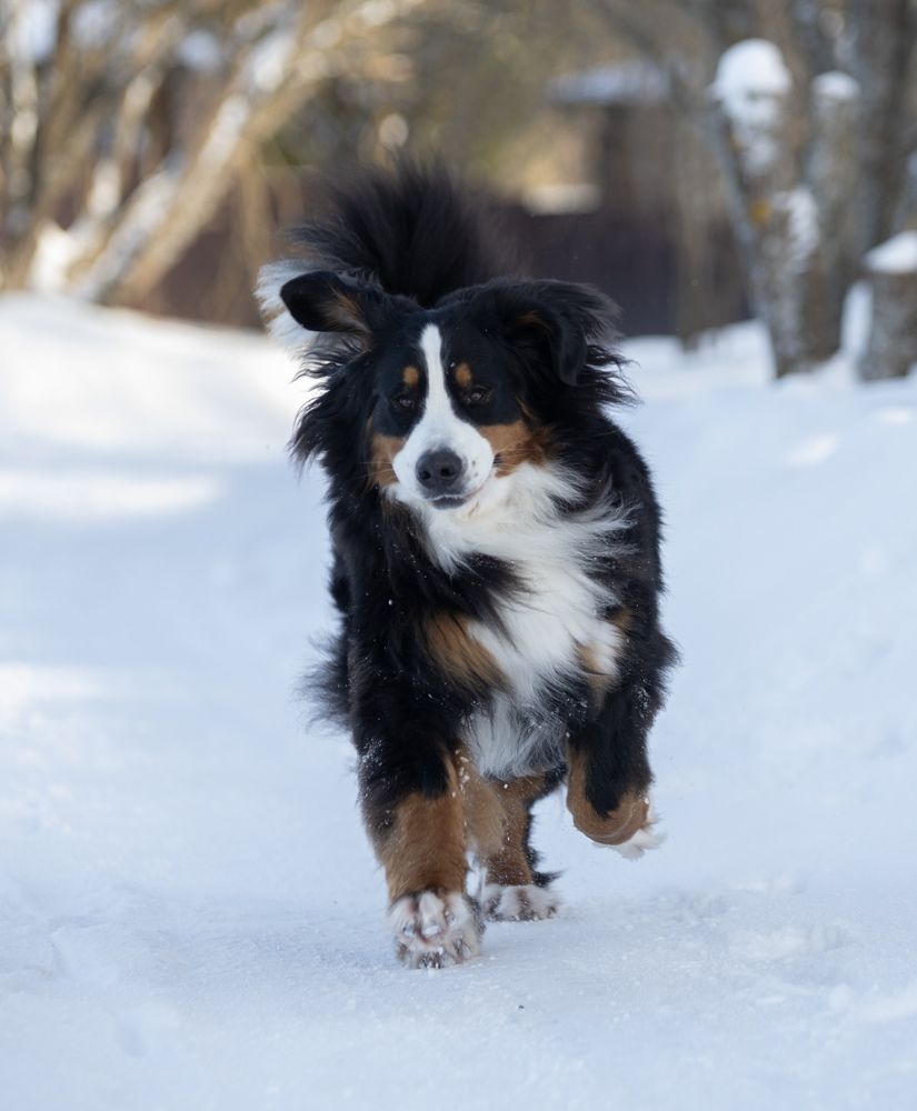 Photograph by Olga Varlamova