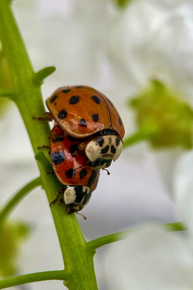 Photograph by Ольга Дорошенко