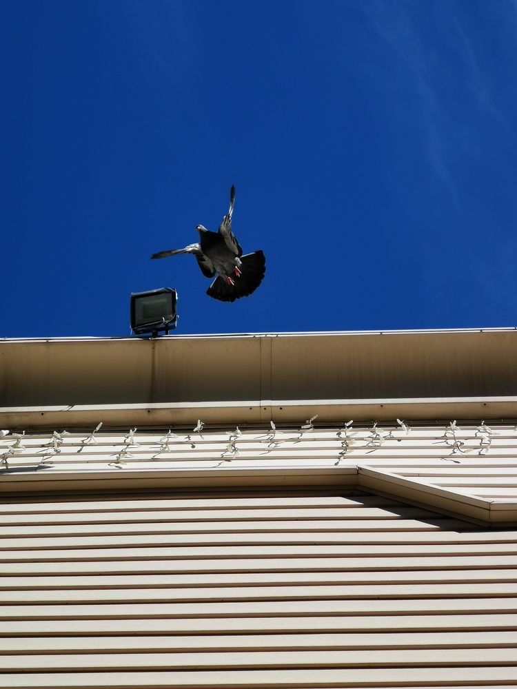 Photograph by Юлия Сафронова