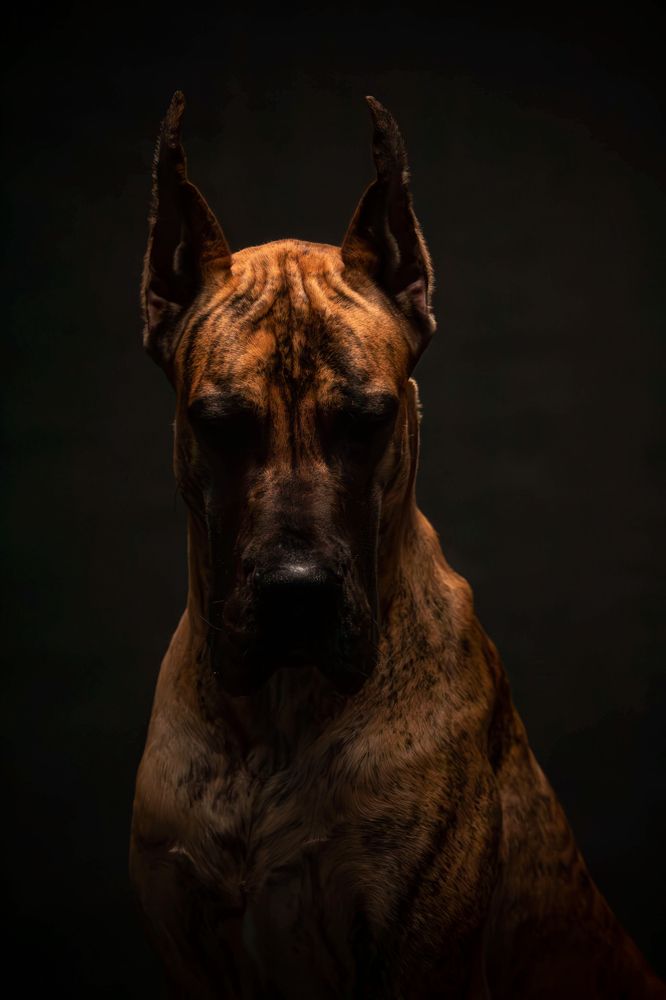 Photograph by Natalya Gracheva