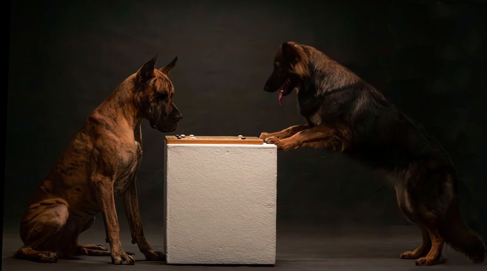 Photograph by Natalya Gracheva