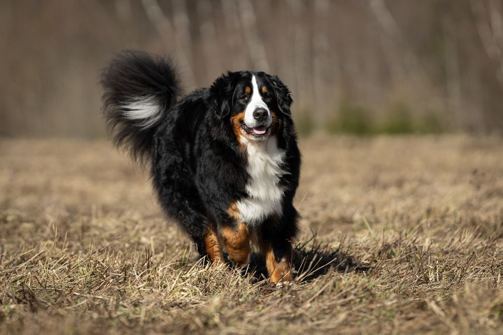 Photograph by Olga Varlamova