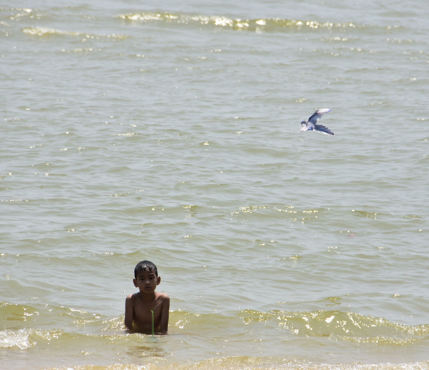 Photo #10583465