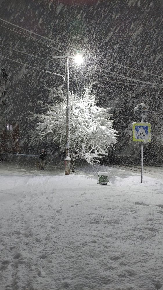 Photograph by Алексей Виноградов