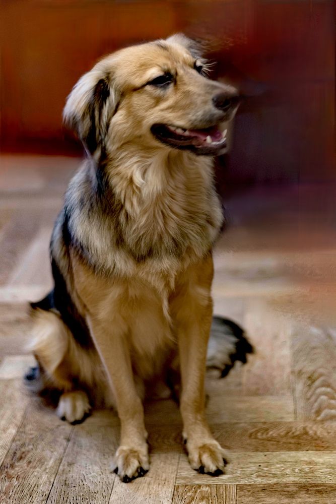 Photograph by Римма Бобрякова