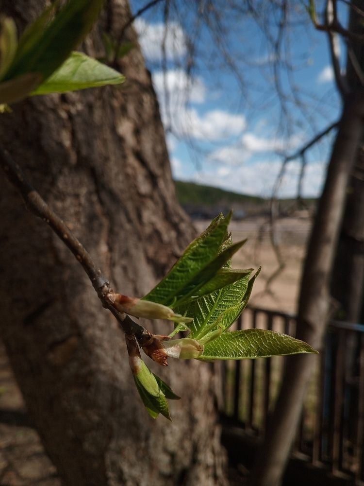 Photograph by Татьяна Николаевна