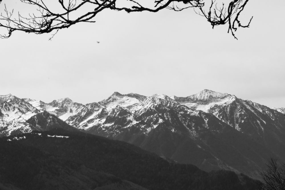 Photograph by Anastasia Higginson