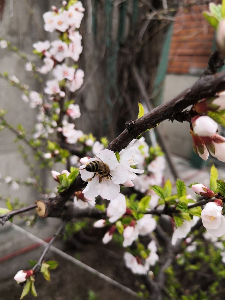 Первые трудяжки проснулись.