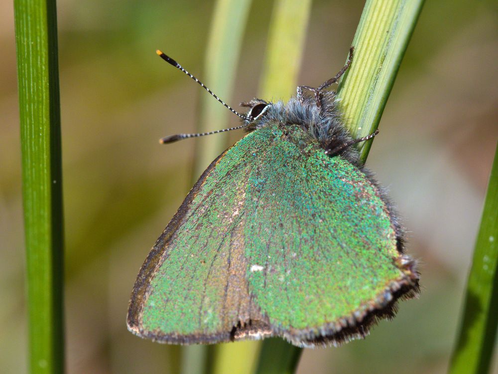 Photograph by Алексей Поляков