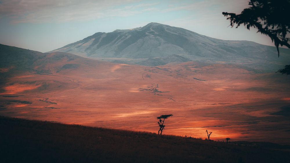 Photograph by binoy james