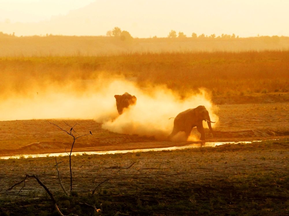 Photograph by ANEESH BHASKARAN