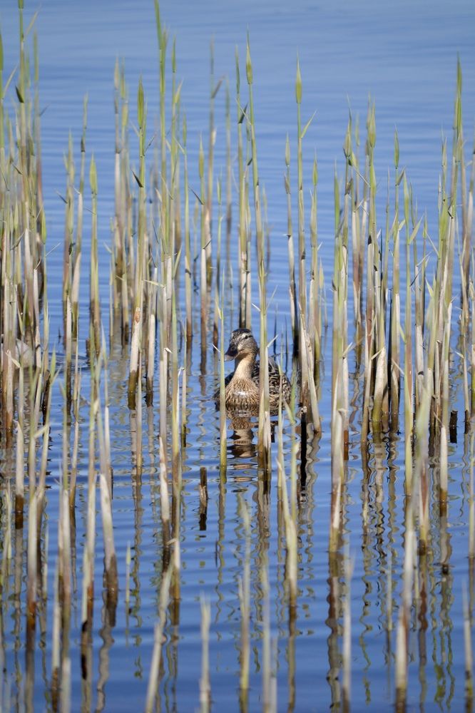 Photograph by Александра