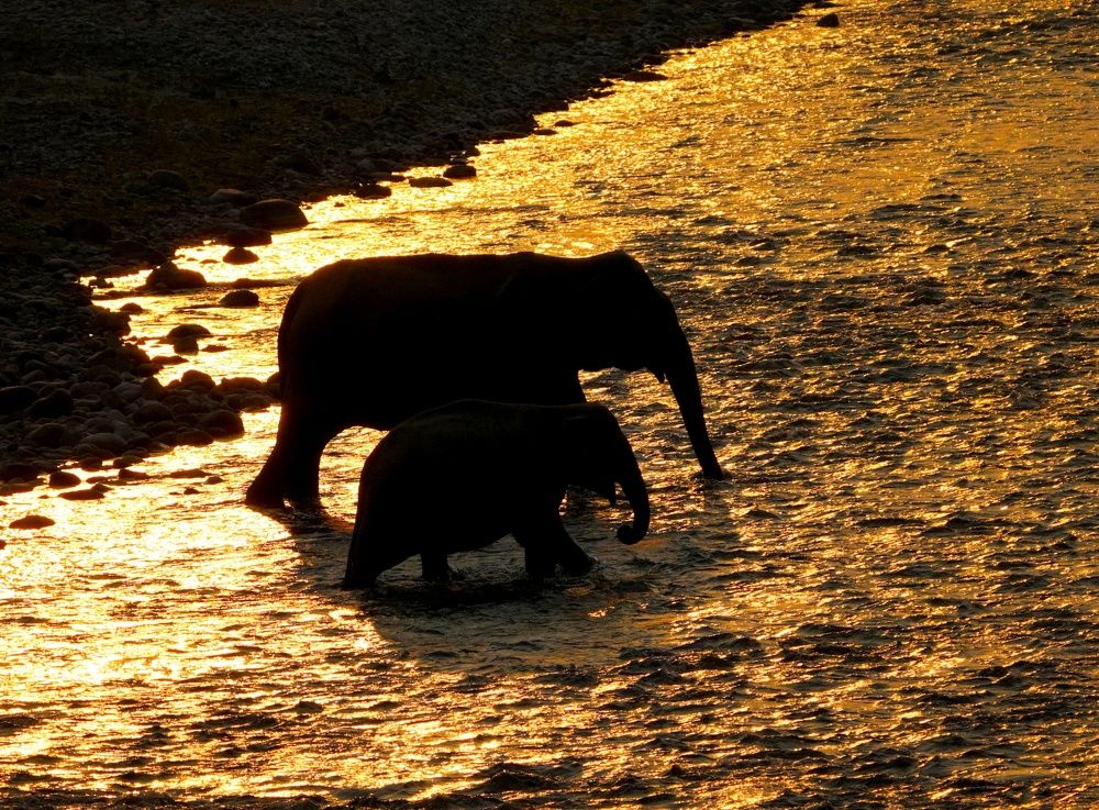 Photograph by ANEESH BHASKARAN